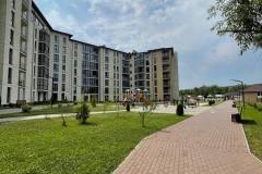 photo_712@08-07-2024_12-09-50